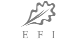 Logo EFI