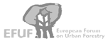 Logo EFUF